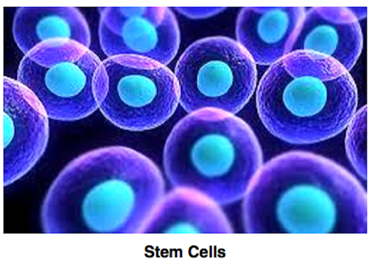 Stem Cell Medicine taught at Blue Marble University Medical School, Commonwealth of Dominica. MD degree academically equivalent to a traditional US medical school. Online MD degree for non-clinical careers in medicine. Interesting and novel medical courses taught at Blue Marble Online Medical School